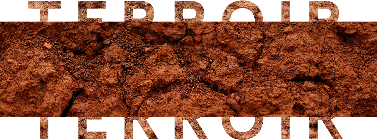 Poster Clipart (1200x452), Png Download