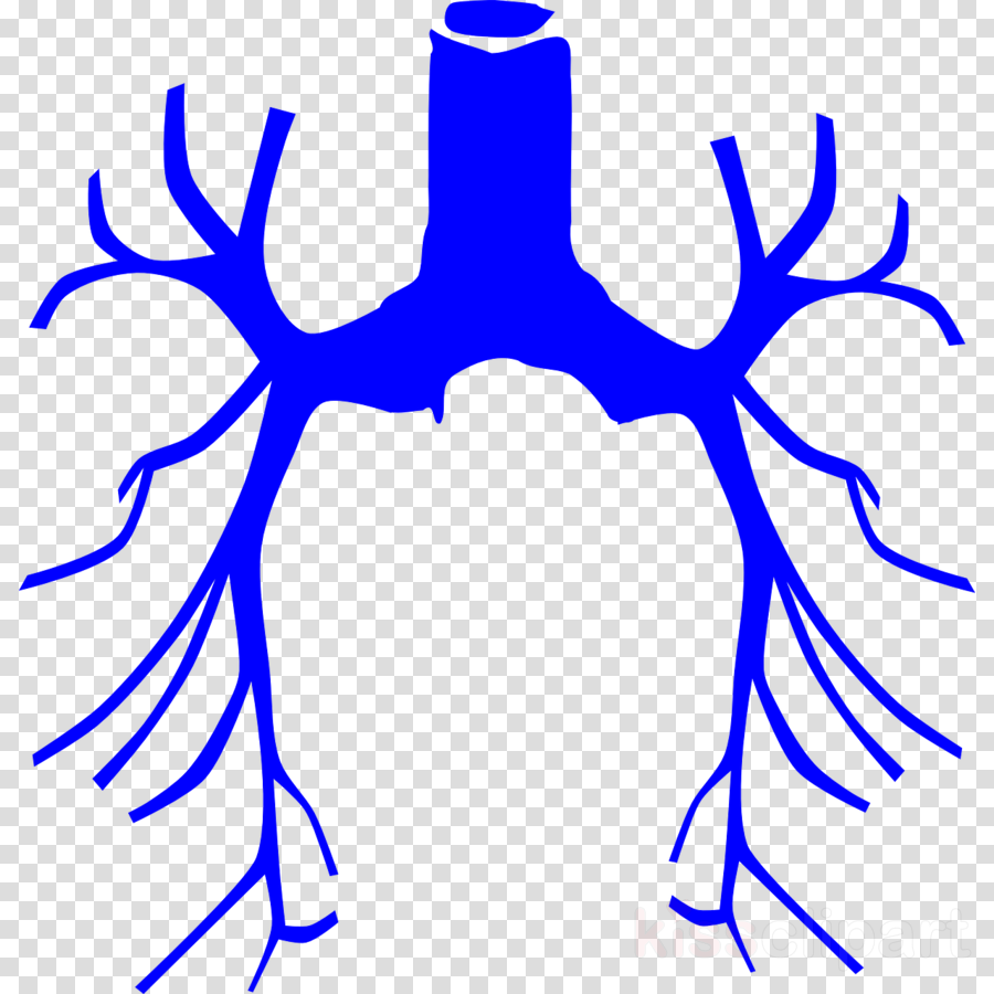 Animal Lung Clipart - Lung Cancer Clipart Png Transparent Png (900x900), Png Download