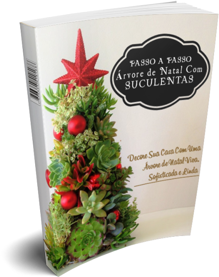 O Único Passo A Passo De Árvores De Natal Com Suculentas - Succulent Christmas Clipart (543x606), Png Download