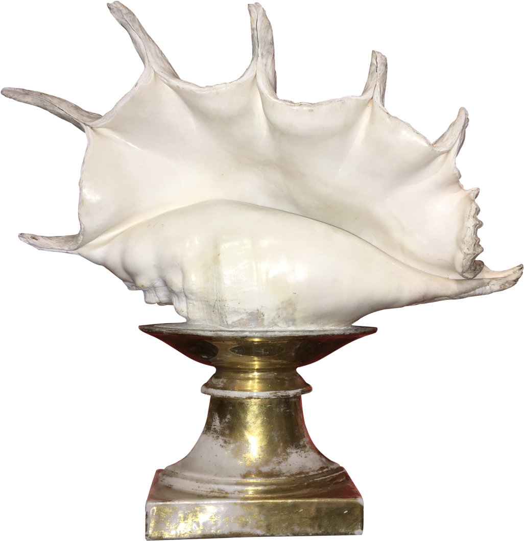 Conch Shell On Old Paris Stand - Lamp Clipart (1026x1059), Png Download