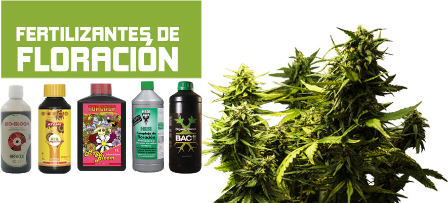 Pepitas - Bottle Clipart (1024x400), Png Download