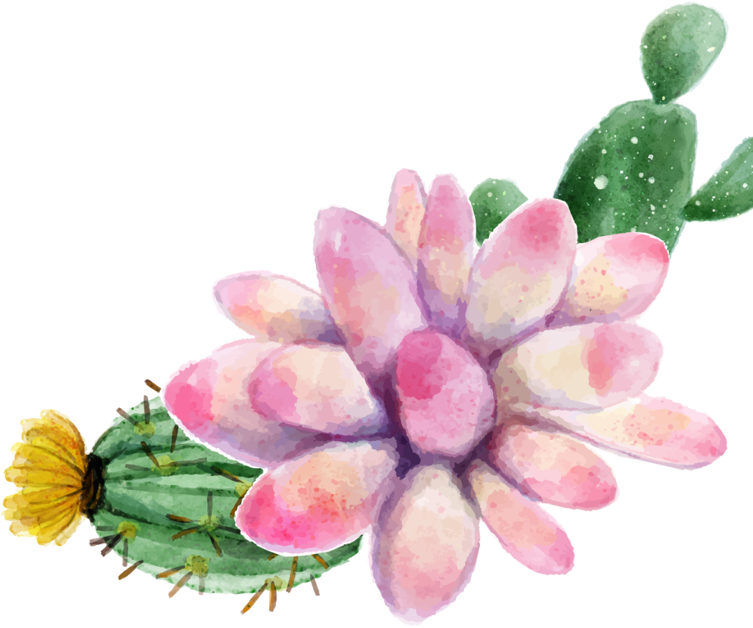 Watercolor Painting Succulent Plant Cactus Transprent - Plants Succulents Watercolor Clipart (1200x1058), Png Download