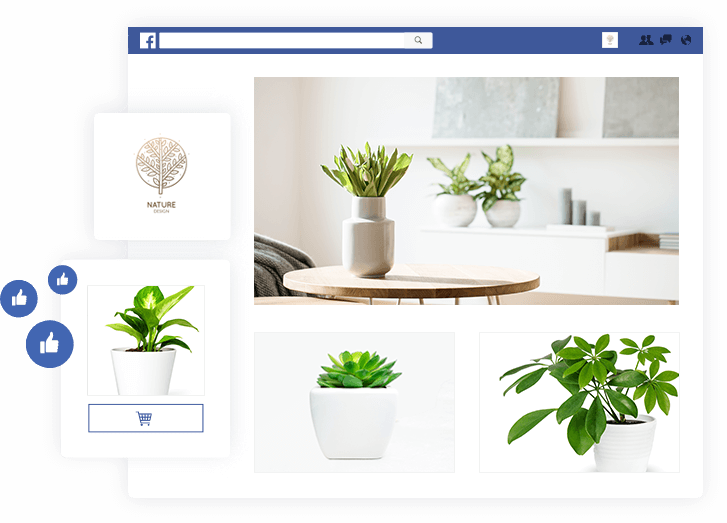 Start Your Facebook Store - Bonsai Clipart (727x523), Png Download