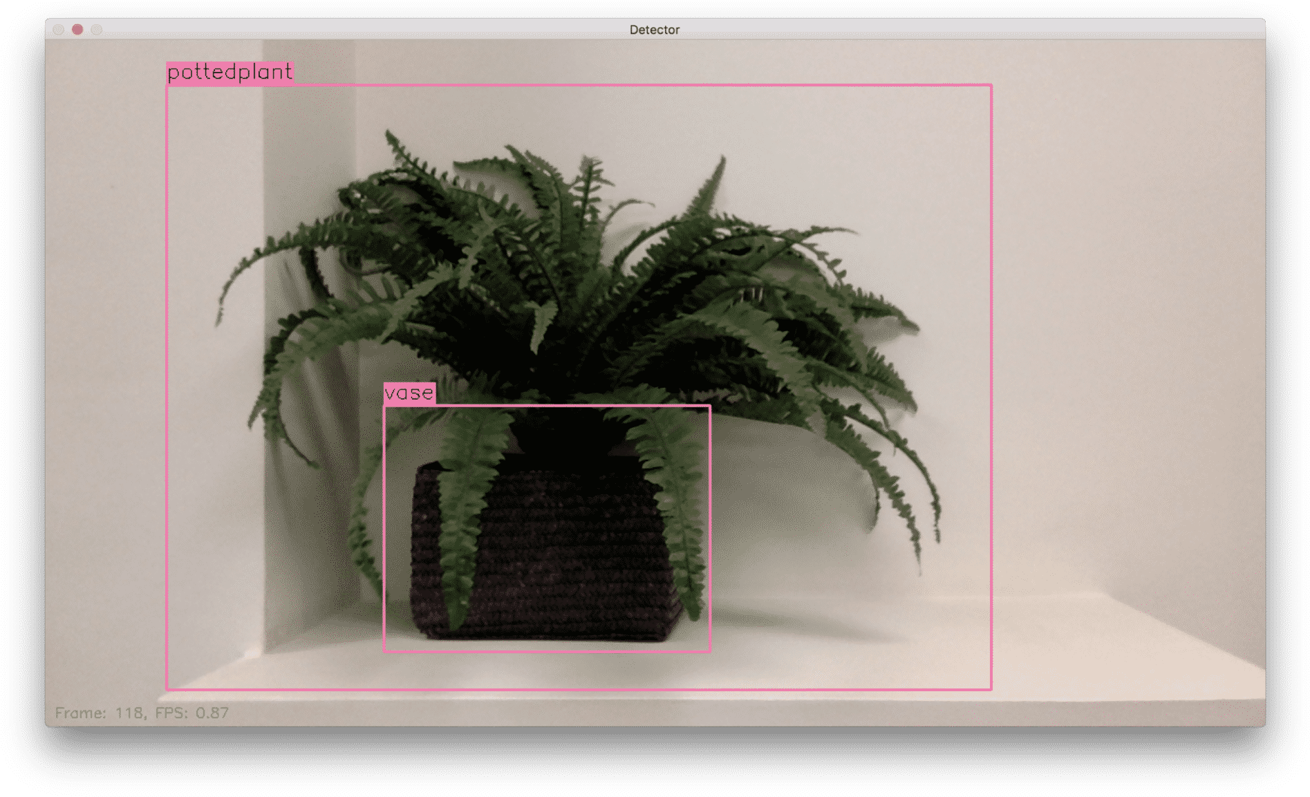 We Needed A Completely Local Solution Running On A - Yolo Object Detection Flowers Clipart (1920x1179), Png Download