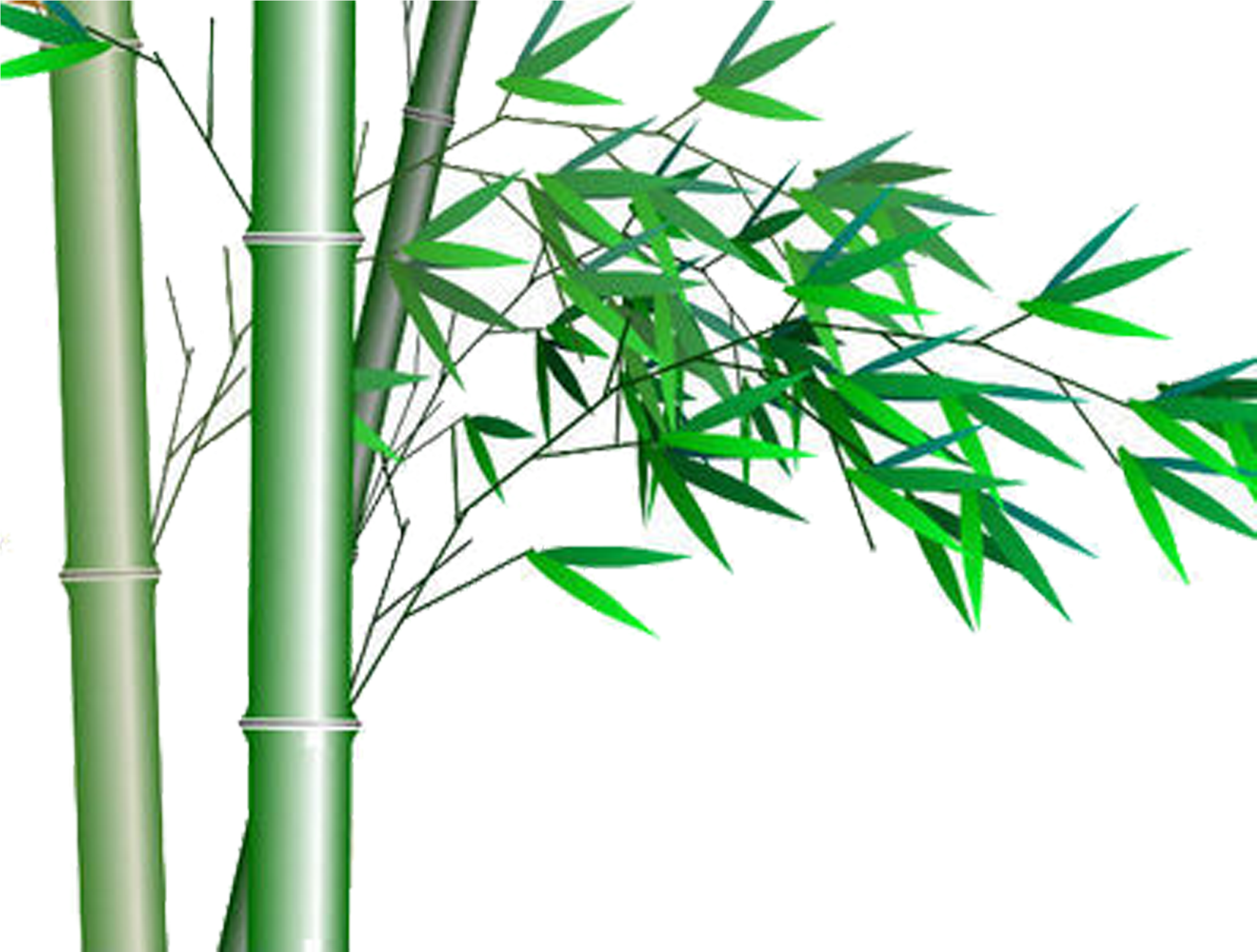Bamboo Vector Lucky - Gambar Desain Pohon Bambu Clipart (2953x2953), Png Download