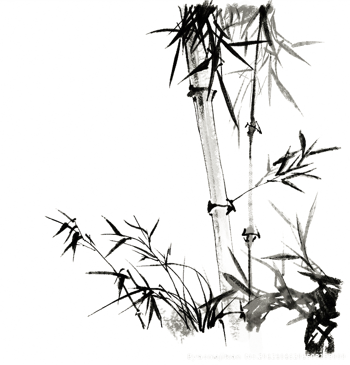 Twig Drawing Hand Drawn - Painting Clipart (719x749), Png Download