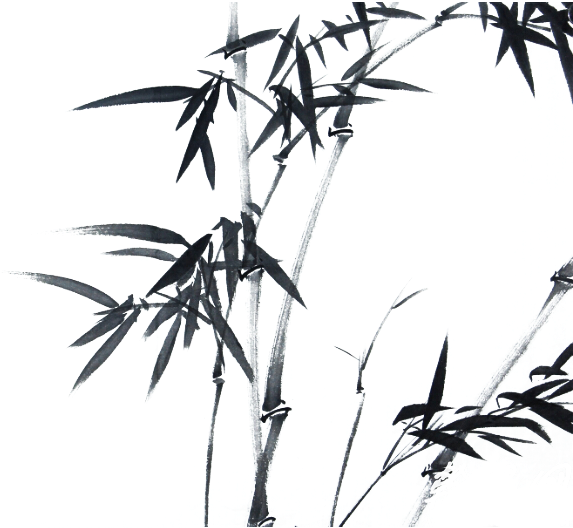 Bamboo Ink Wash Painting - Bamboo Clipart (599x527), Png Download