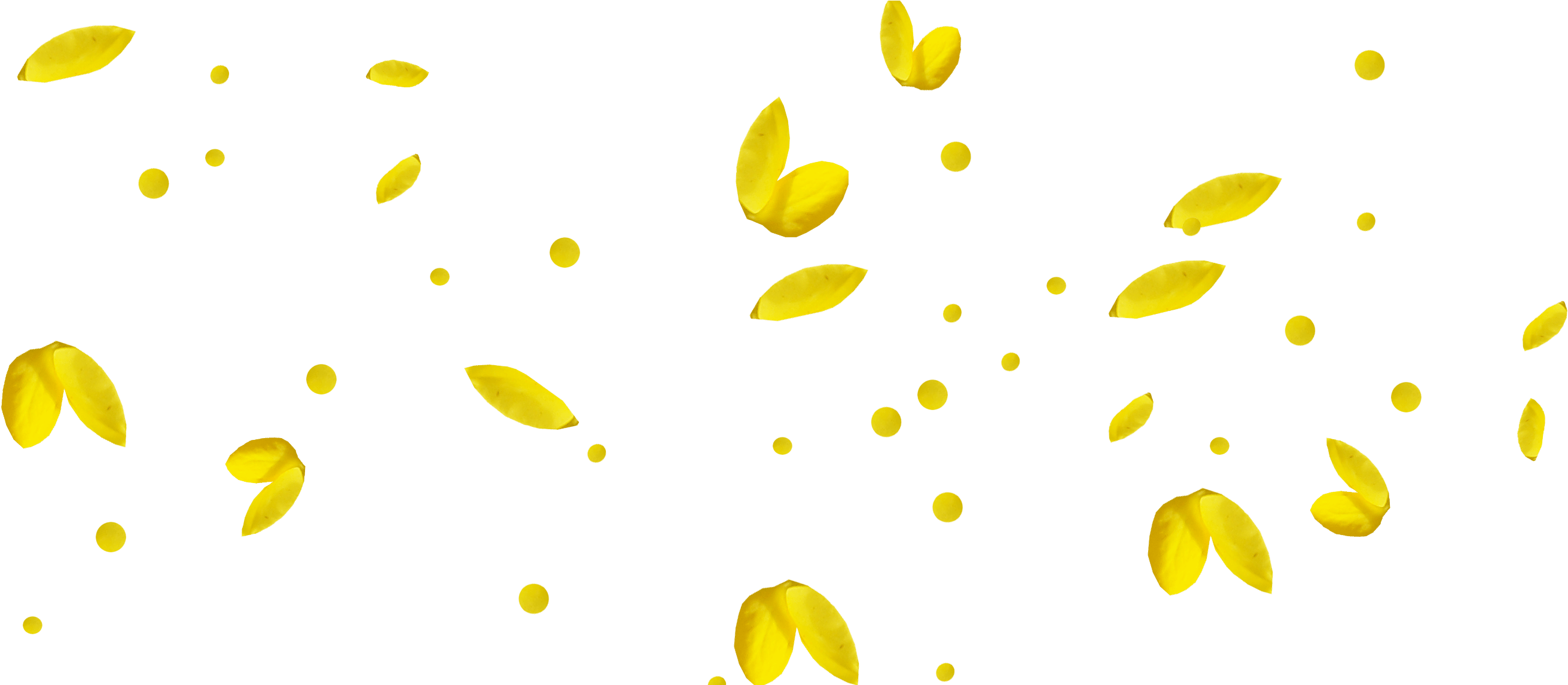 Petalos Amarillos - Petalos Amarillos Png Clipart (2687x1145), Png Download