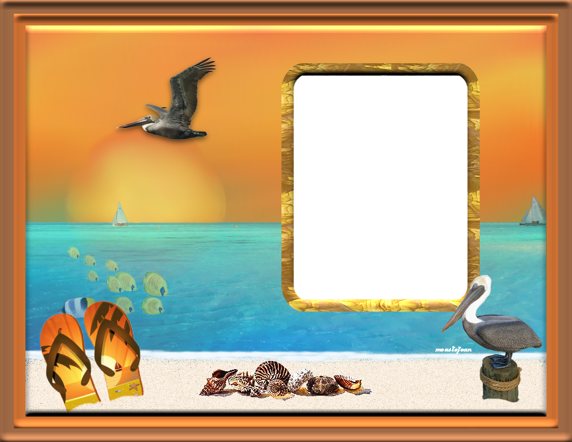 Tropical Pelican Photo Tropicalpelican - Picture Frame Clipart (1124x868), Png Download