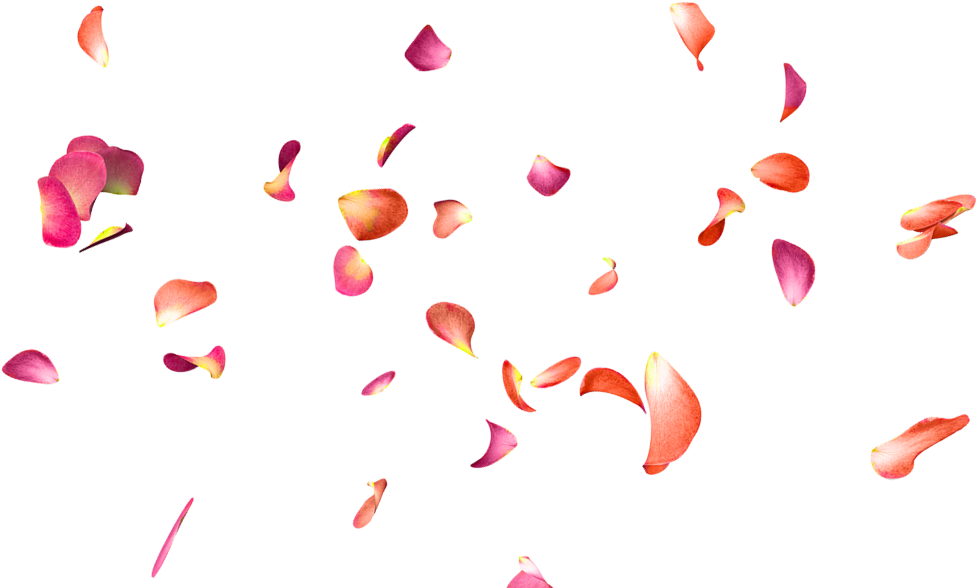 Petalos Sticker Clipart (1024x683), Png Download