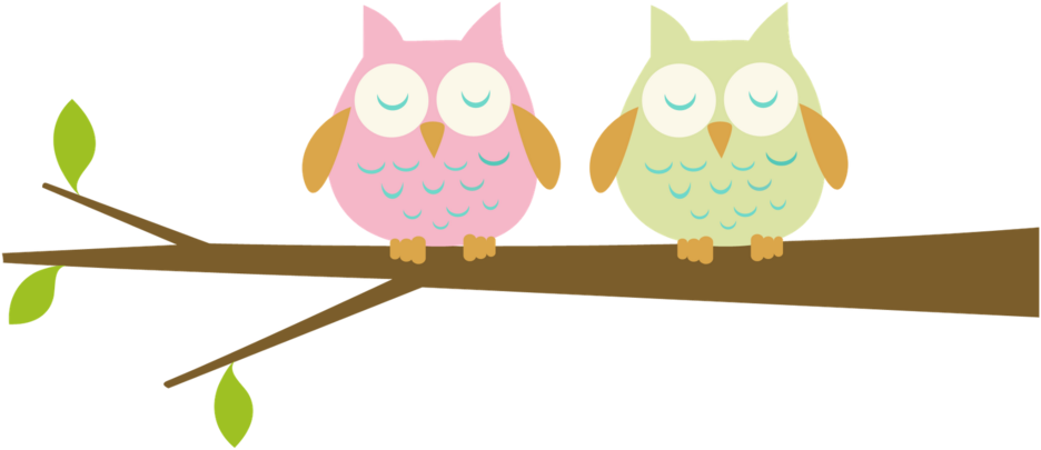 Cute Owl On Branch Png - Cute Clipart Transparent Background (936x405), Png Download