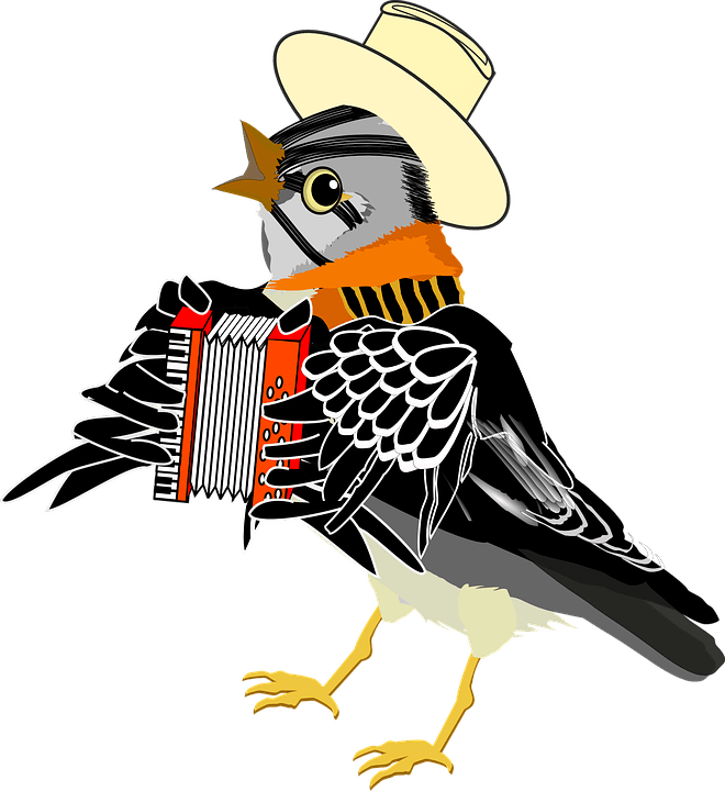 Accordion Bird Clipart (660x720), Png Download