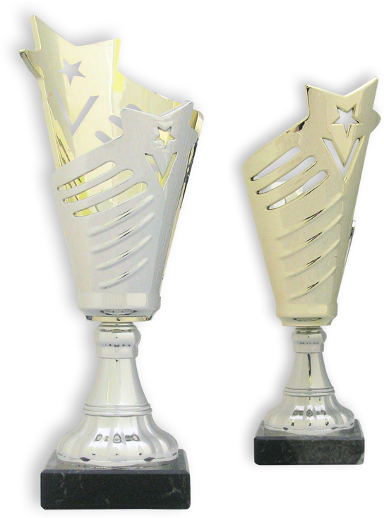 Reward Your Sports Day Stars With These Gold And Silver - Trophy Clipart (650x850), Png Download