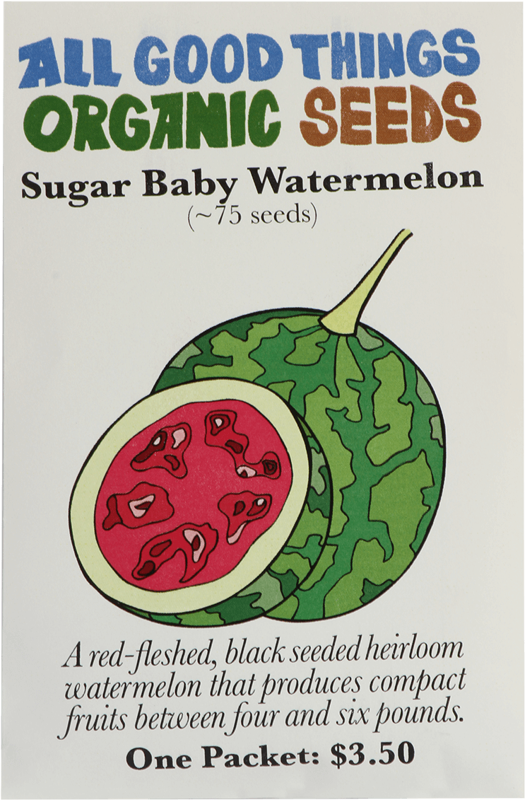 Sugar Baby Watermelon - Poster Clipart (1200x1200), Png Download