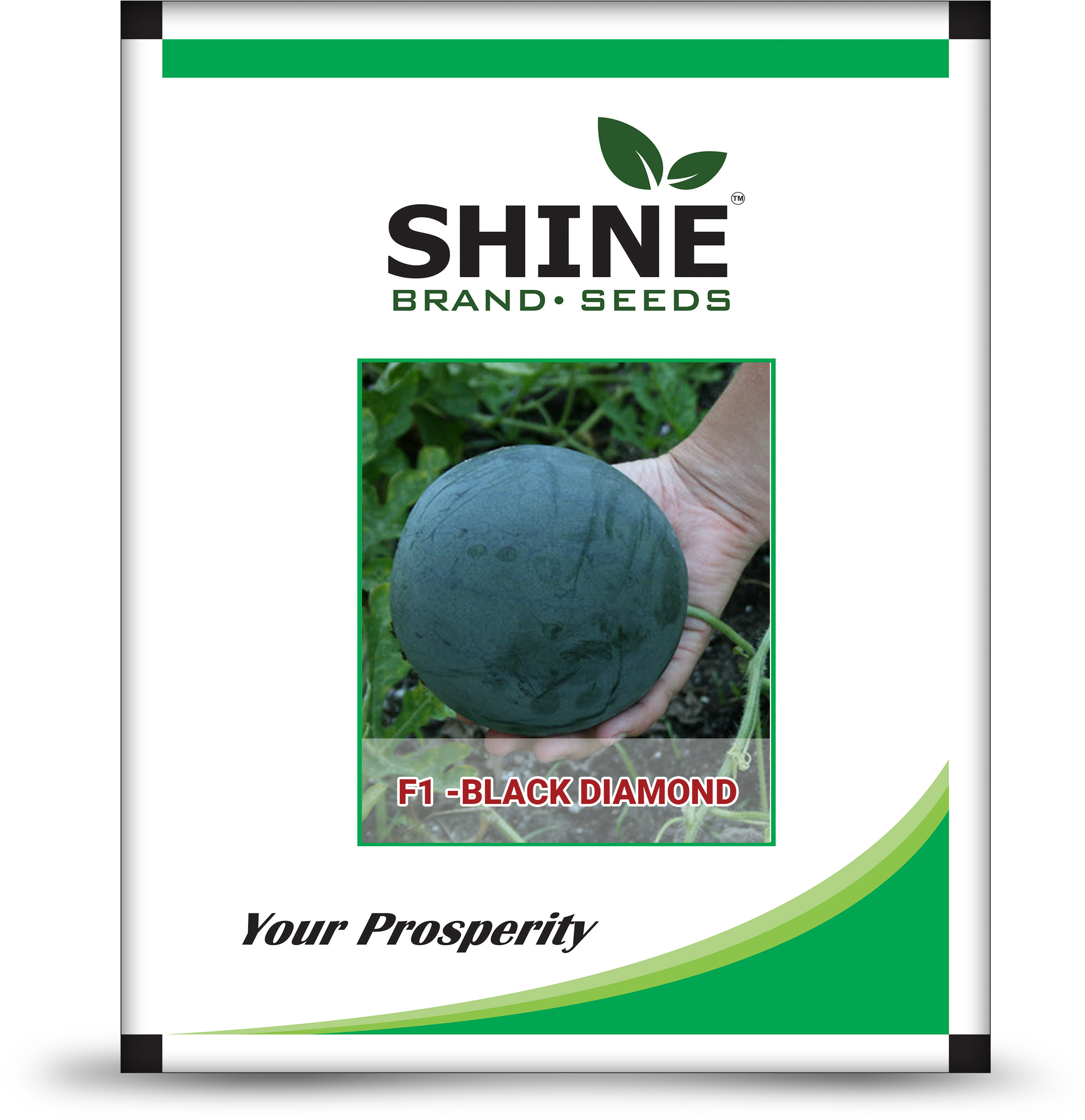 Hybrid Watermelon Seeds Clipart (2272x2362), Png Download