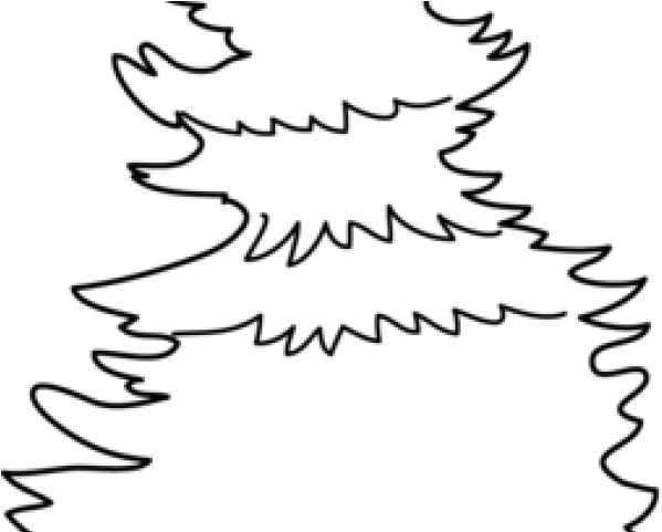 Pine Tree Clipart Cedar Tree - Jack Pine - Png Download (640x480), Png Download