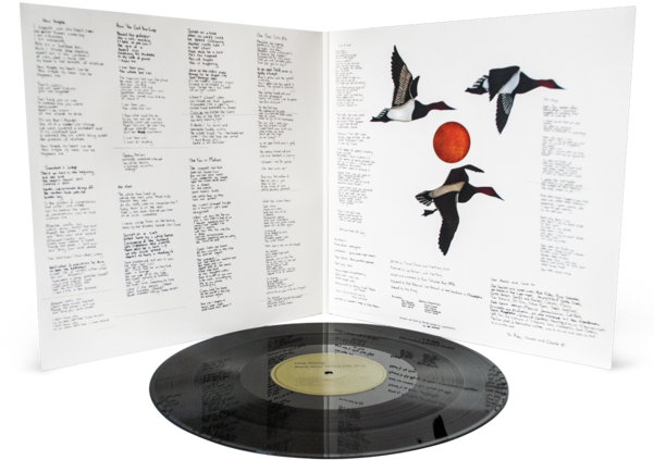 Circle Clipart (600x600), Png Download