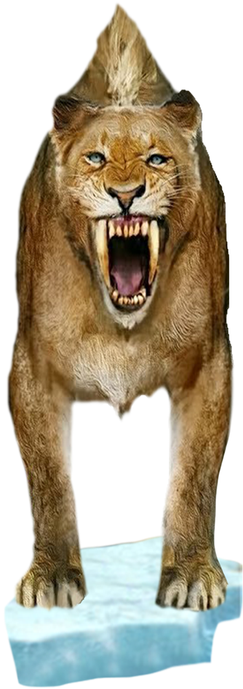 Smilodon Populator - Cat Yawns Clipart (1000x1000), Png Download