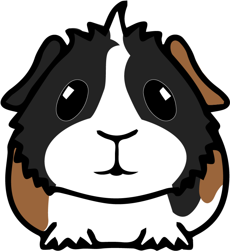 Download Guinea Pig Clipart Png Download - PikPng