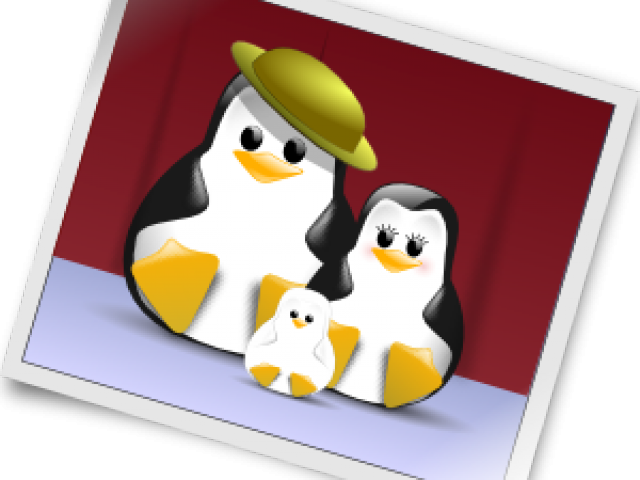 Photography Clipart Photgrapher - Png Penguin Family Transparent Png (640x480), Png Download