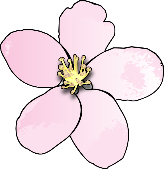 Apple Blossom Michigan Flower Clipart (576x595), Png Download