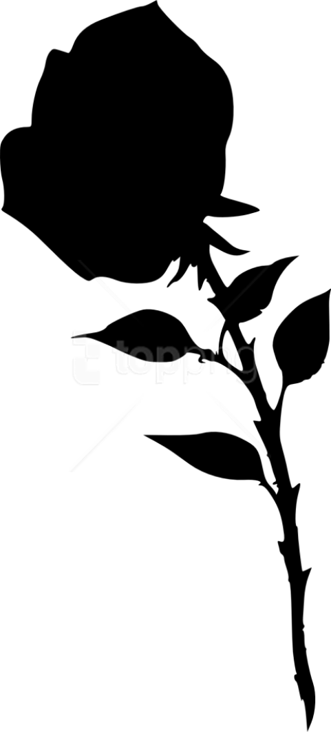 Free Png Rose Silhouette Png Images Transparent - Portable Network Graphics Clipart (481x1062), Png Download