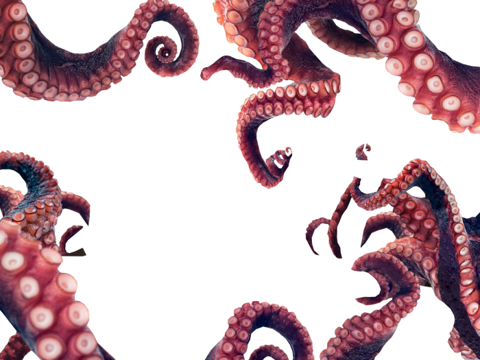 Octopus Tentacles Png Gif - Octopus Png Clipart (700x525), Png Download