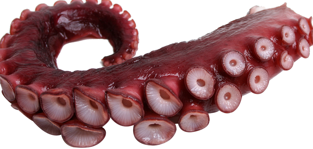 #tentacle #octopus #freetoedit - Tentacle Png Clipart (1024x490), Png Download