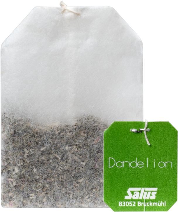 Dandelion Seed Png - Garment Bag Clipart (608x724), Png Download