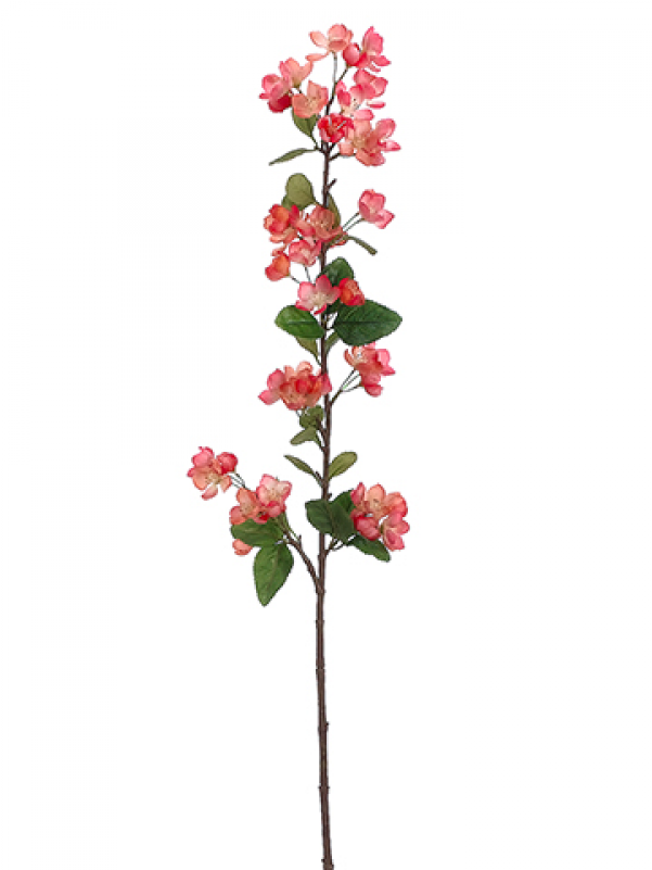42" Apple Blossom Spray Two Tone Coral - Artificial Flower Clipart (800x800), Png Download