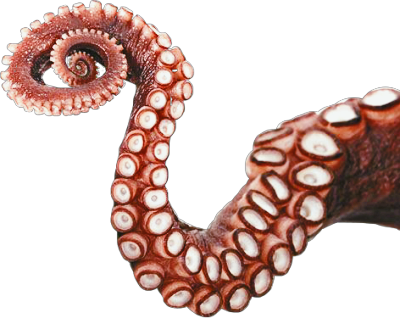 #suckers - Octopus Tentacles Png Clipart (400x318), Png Download