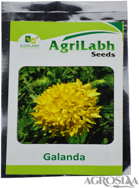 Agrilabh - Galanda Flower Clipart (480x640), Png Download