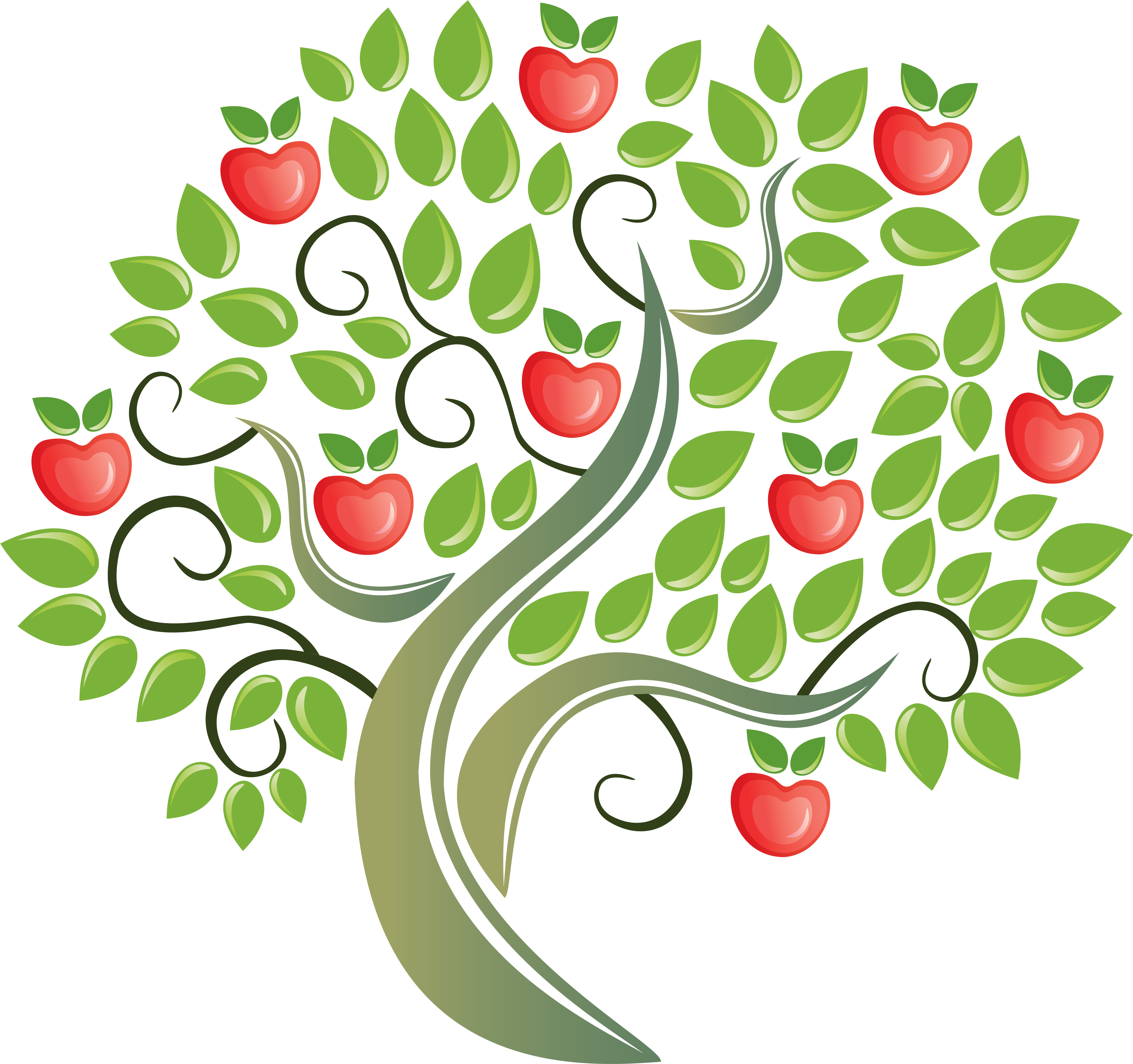 Botanical Vector Apple Flower - Apple Tree Clipart (4281x4090), Png Download
