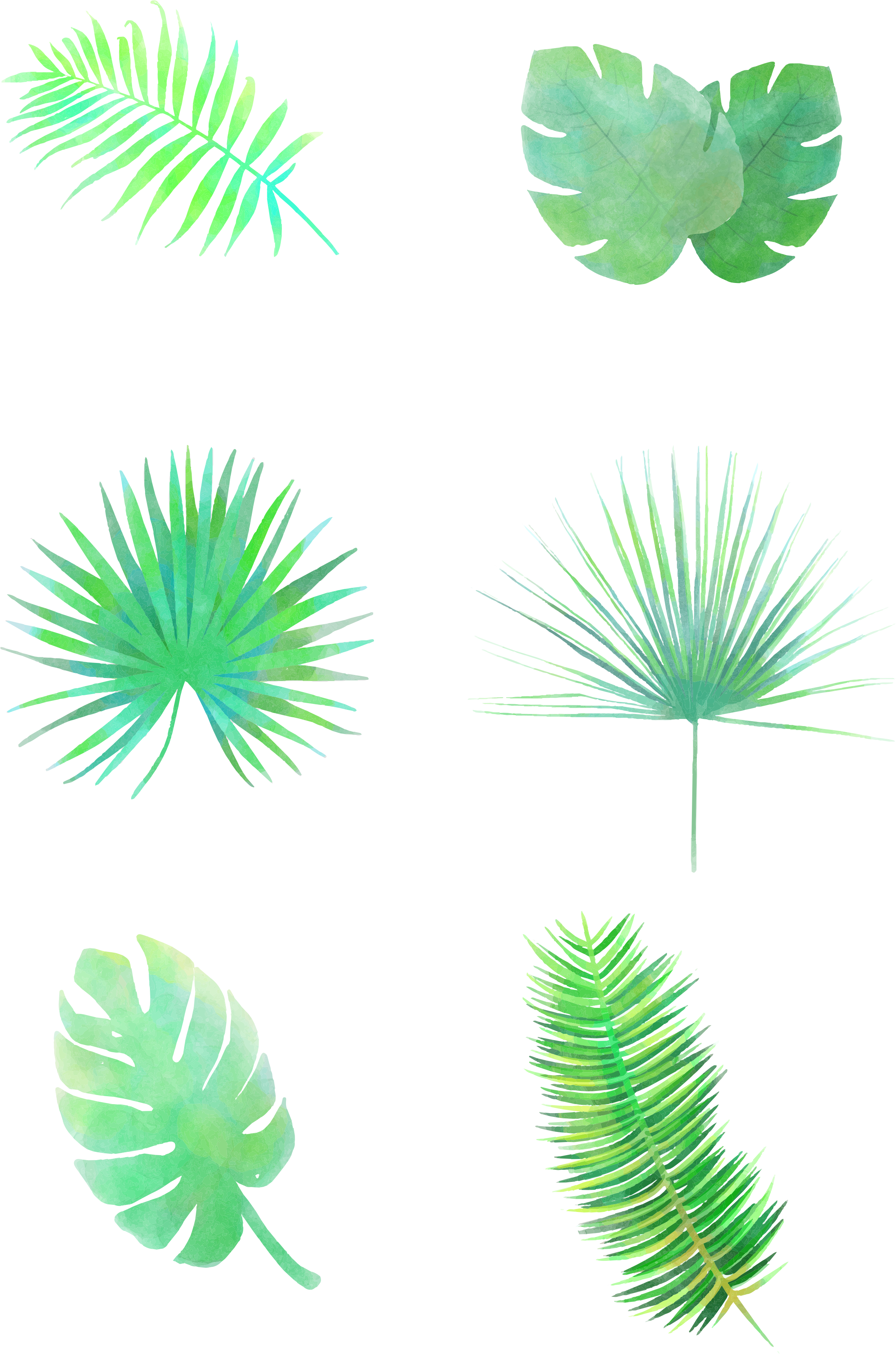 Folhas Frescos Desenhados À Mão Minimalistas Png E - Vector Graphics Clipart (3072x4107), Png Download