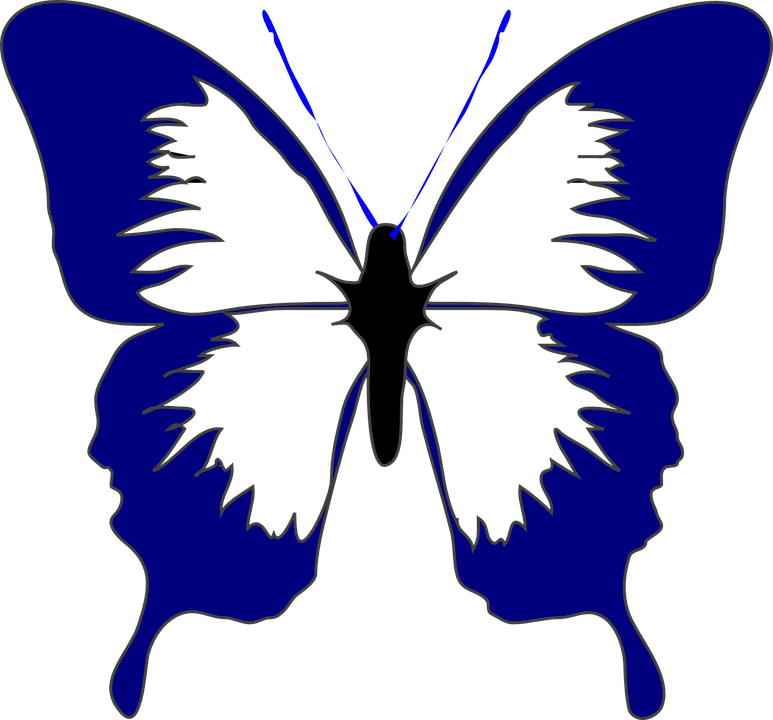 Butterfly Insect Spring Navy Blue Beautiful Summer - Butterfly Clip Art - Png Download (773x720), Png Download