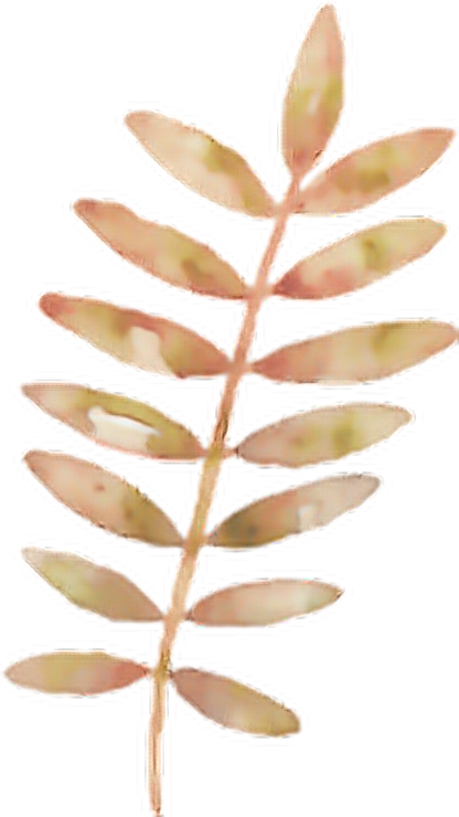 Folha Sticker - Transparent Background Watercolor Flower Png Clipart (416x740), Png Download