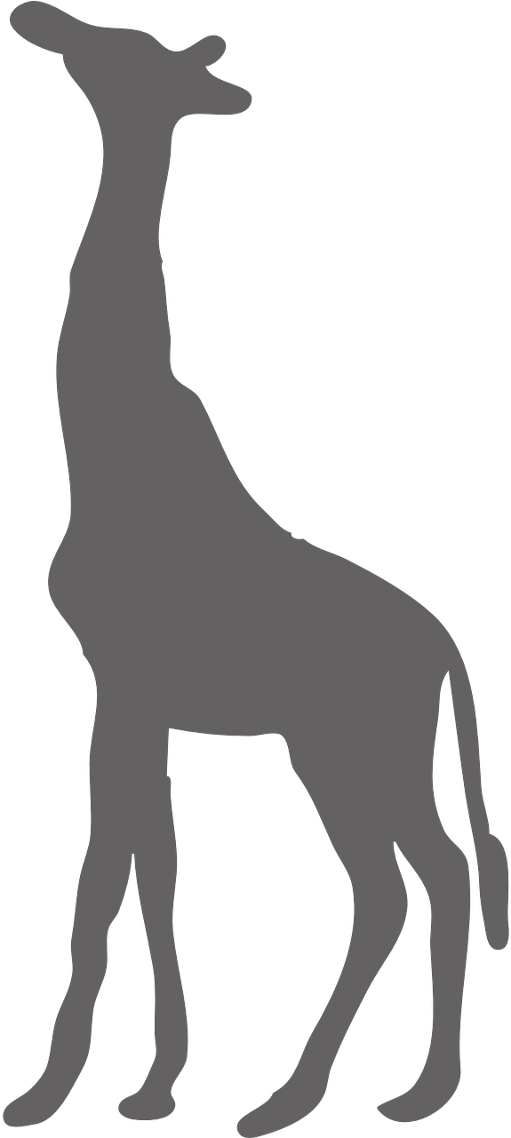 Giraffe Wild Animal Safari Png Image Clipart , Png - Giraffe Black Transparent Png (575x1281), Png Download