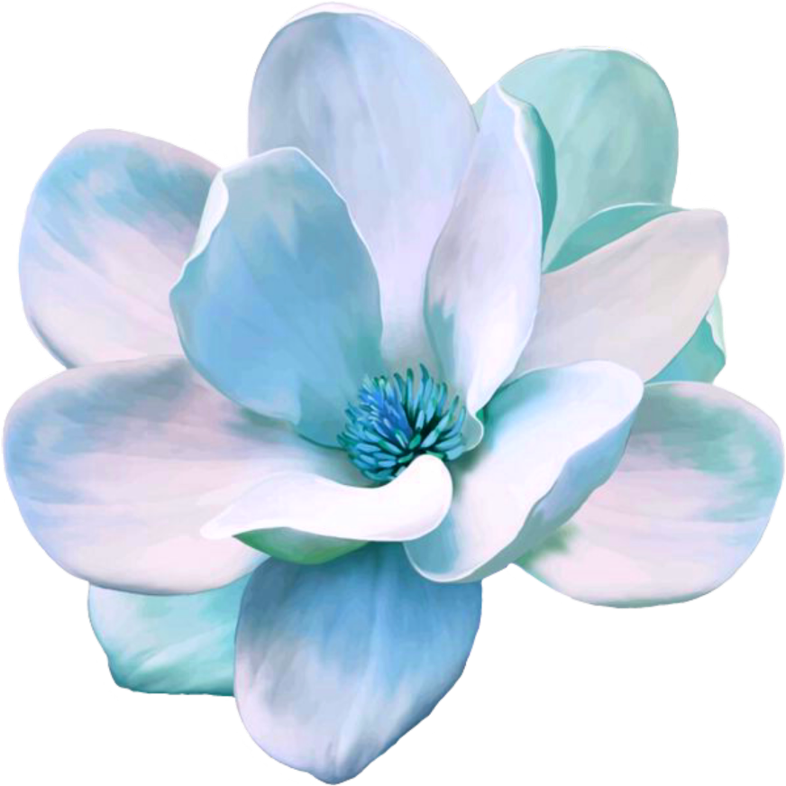 #flower #freetoedit #blue #magnolia - Magnolia Clip Art Free - Png Download (1024x1024), Png Download