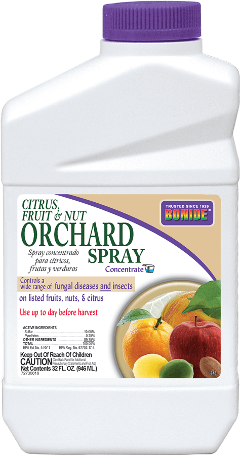 Qt Conc - Natural Foods Clipart (474x900), Png Download