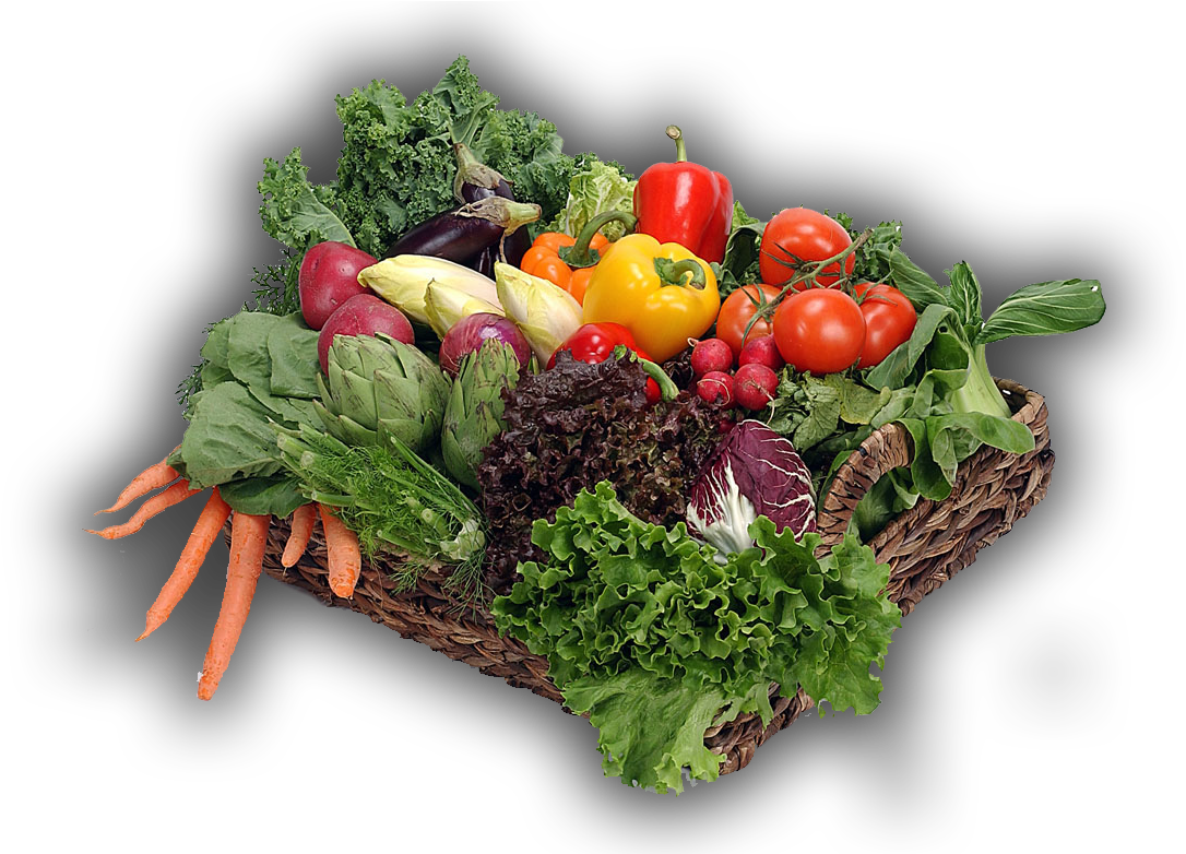 Verduras - Farm Vegetables Clipart (1200x781), Png Download