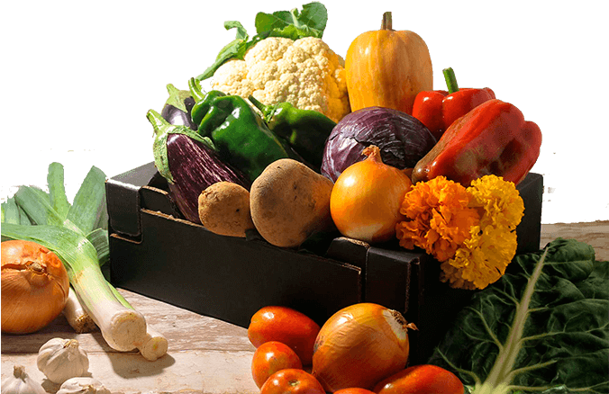 Cesta Verdura Mediana Ecologica Somnatur - Zucchini Clipart (683x529), Png Download