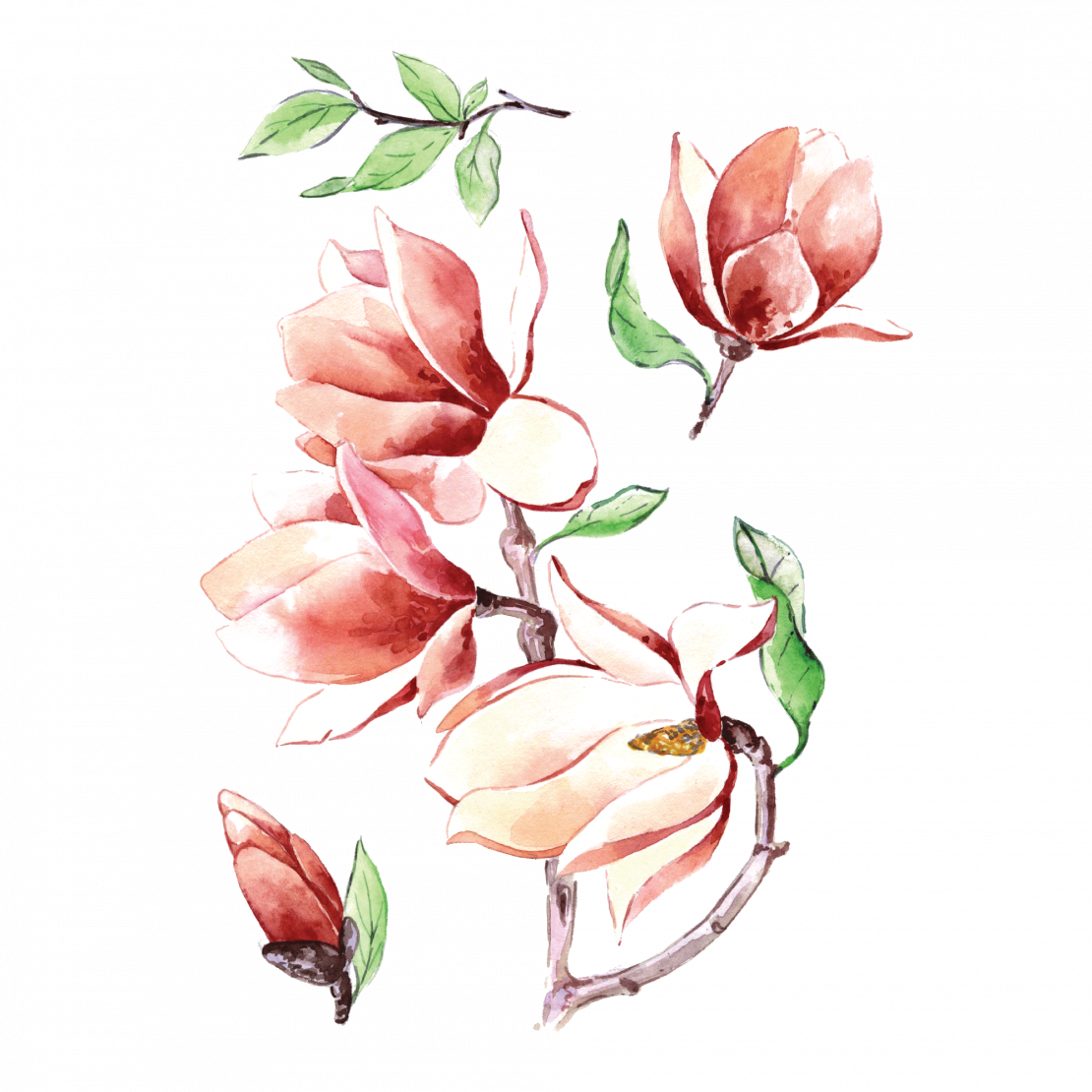 Temporary Tattoo Magnolia - Tattoo Magnolia Flower Color Clipart (1110x1110), Png Download