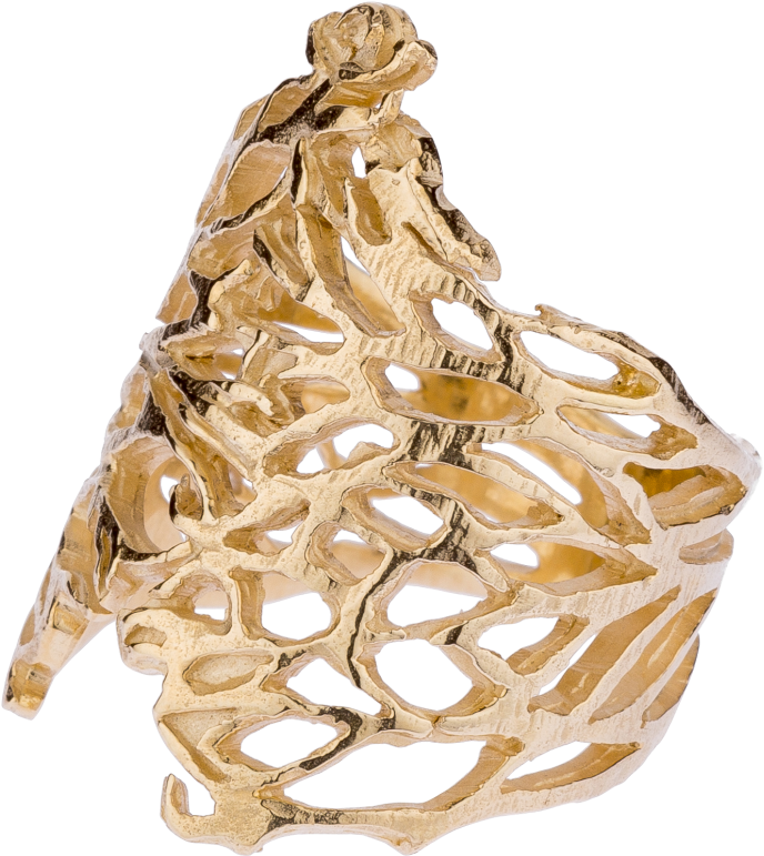 Thorn Bush Rings - Ring Clipart (1024x1024), Png Download