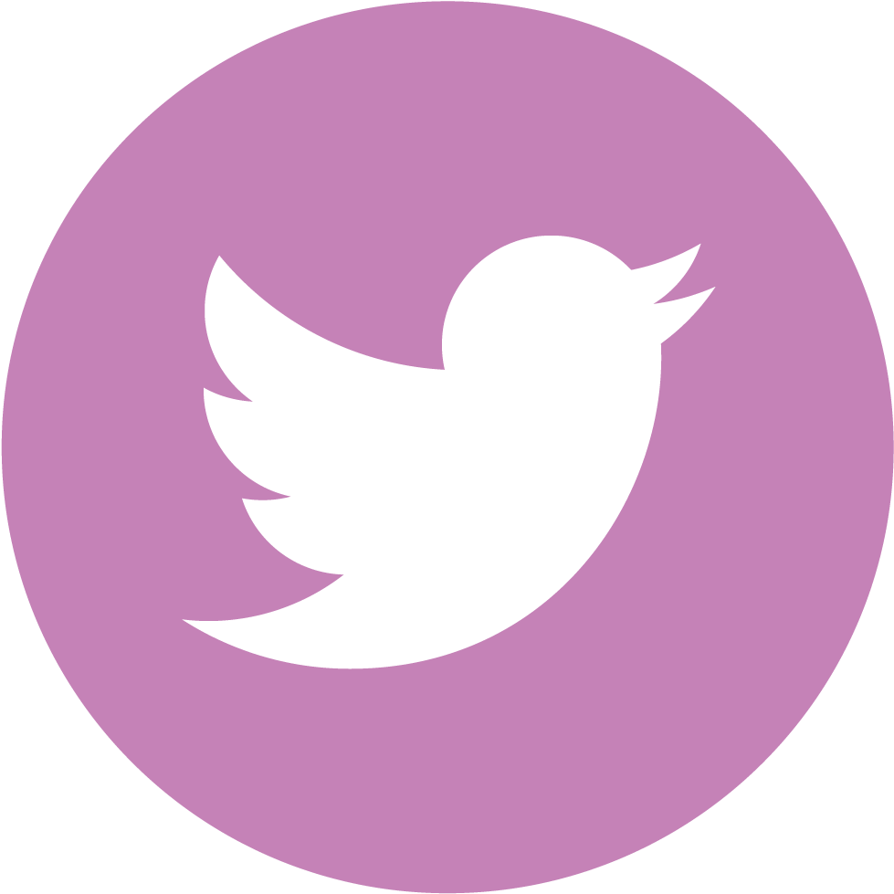 Facebook Twitter Instagram Pinterest Twitter Clipart Large Size Png