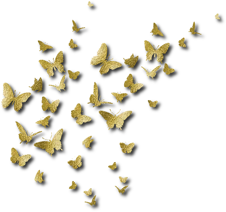 Butterfly Stencil Wall Designs Clipart (737x692), Png Download