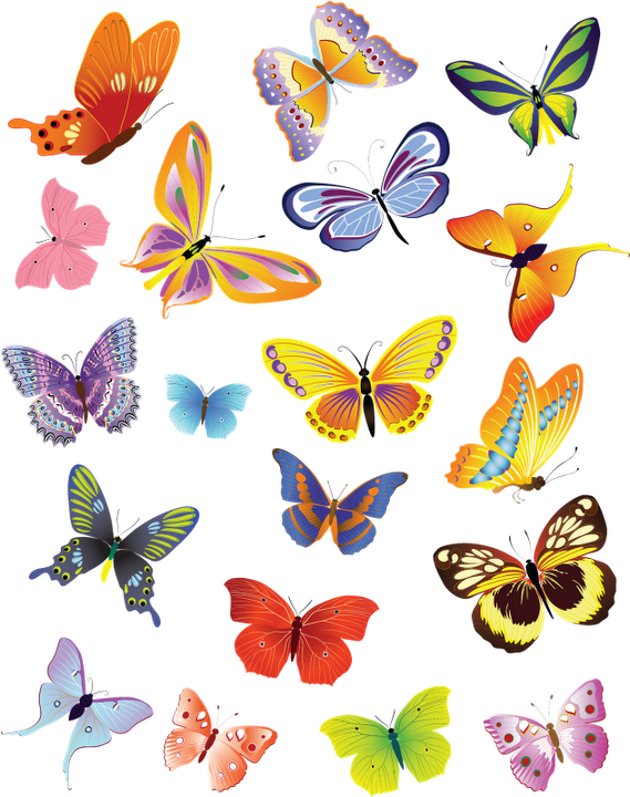 Mariposas - Cute Butterfly Vector Free Download Clipart (569x720), Png Download