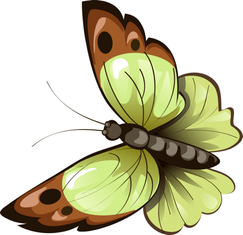 ‿✿⁀butterflies‿✿⁀ Mariposas, Colores, Bordado, Animales, - Esquineros De Flores Y Mariposas Clipart (800x771), Png Download