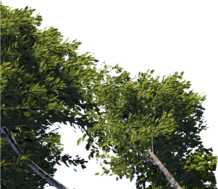 Dreamworld - Dreamworld - Dreamworld - Dreamworld - - Shrek Clipart (787x759), Png Download