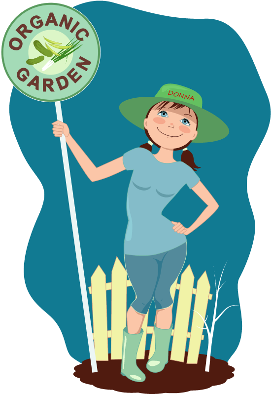 Download Clipart - Illustration - Png Download (600x800), Png Download