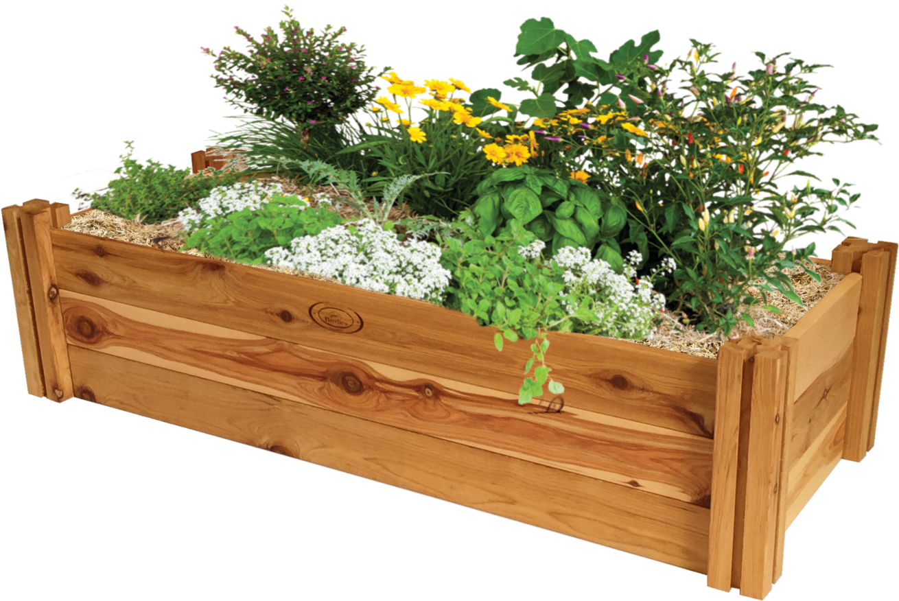 Raised Plant Bed Png Clipart (2048x1536), Png Download